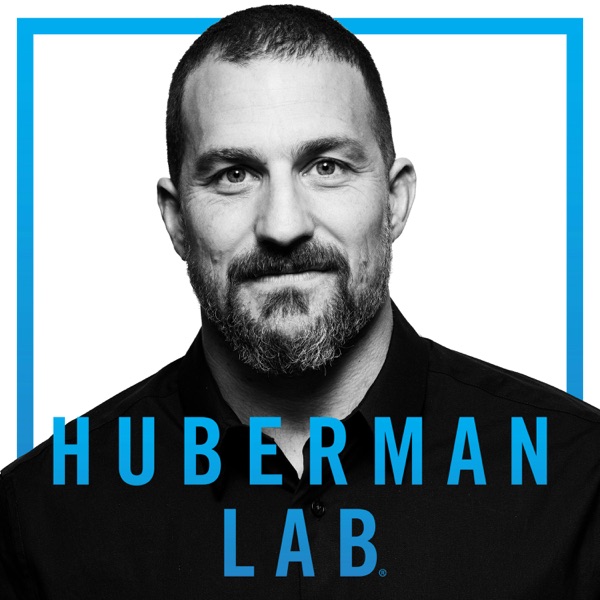 Huberman Lab podcast cover art - one of the best health, wellness, and longevity podcasts to be a guest on in 2026