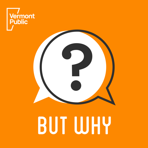 But Why: A Podcast for Curious Kids podcast cover art