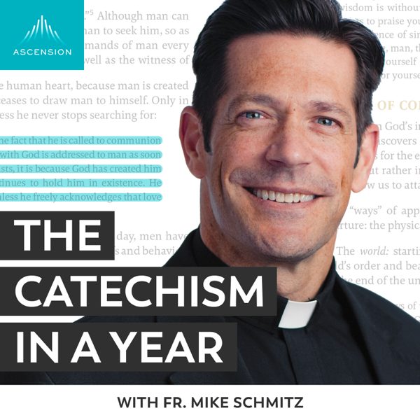 The Catechism in a Year (with Fr. Mike Schmitz) podcast cover art