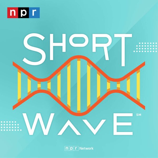 Short Wave podcast cover art